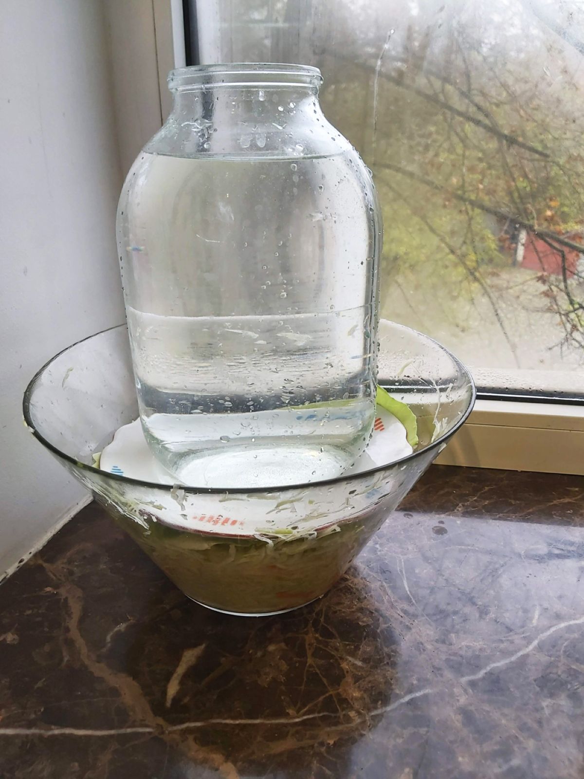 Квашена капуста