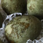 Крашанки в каркаде